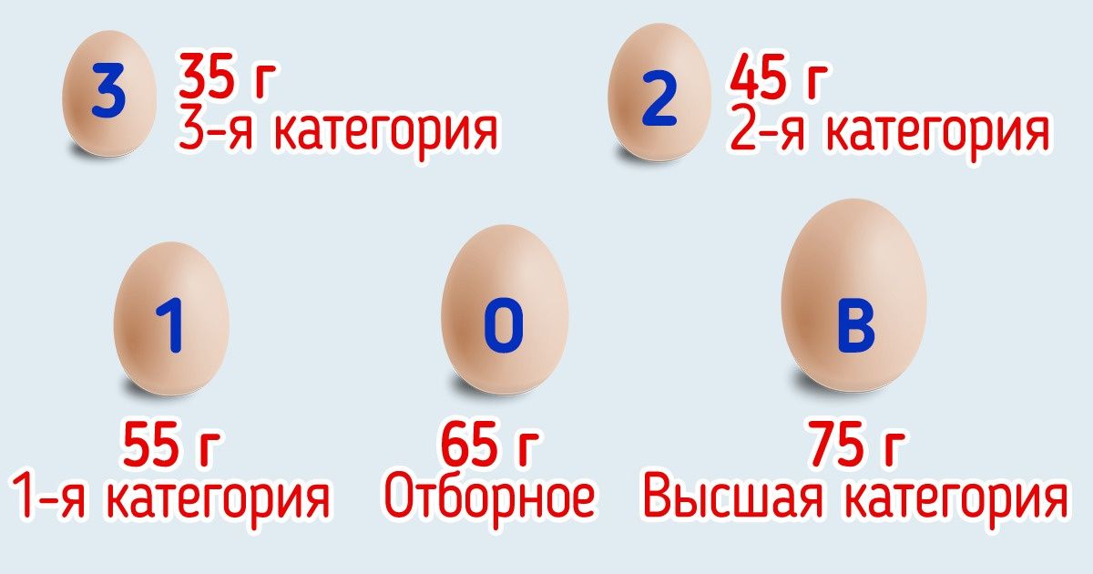 Что обозначает маркировка на куриных яйцах
