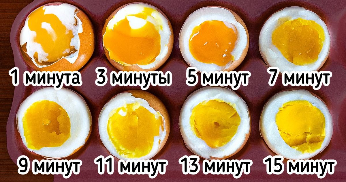 Как правильно варить яйца вкрутую, всмятку и в мешочек