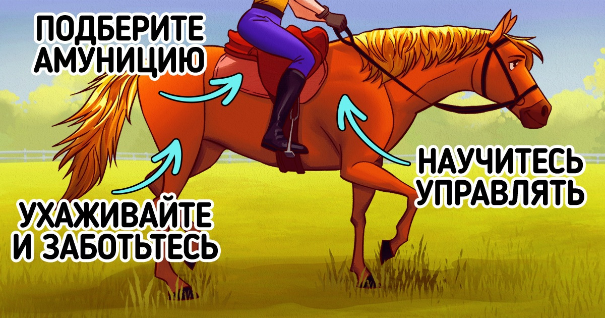 Как безопасно ездить верхом на лошади