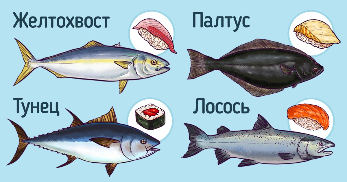Как выбрать рыбу для суши и роллов / Бери и делай