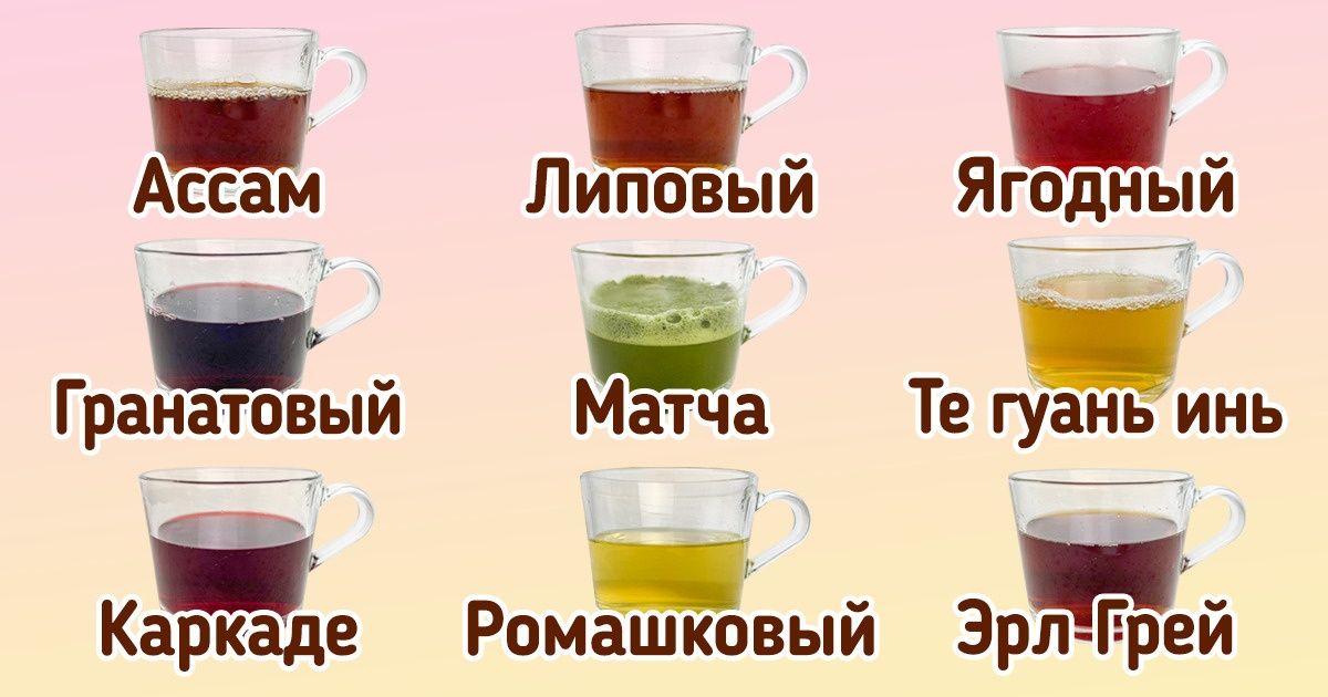 Как научиться различать виды чая