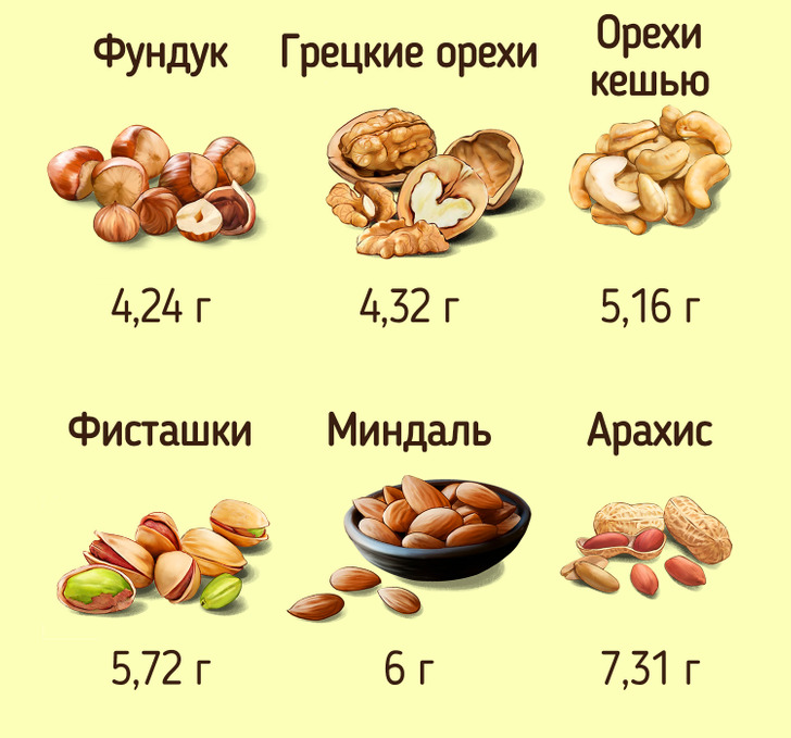 Сколько грамм белка в орехах. Белок в орехах таблица. Белковые орехи. Фундук для белок. Орехи для белки.