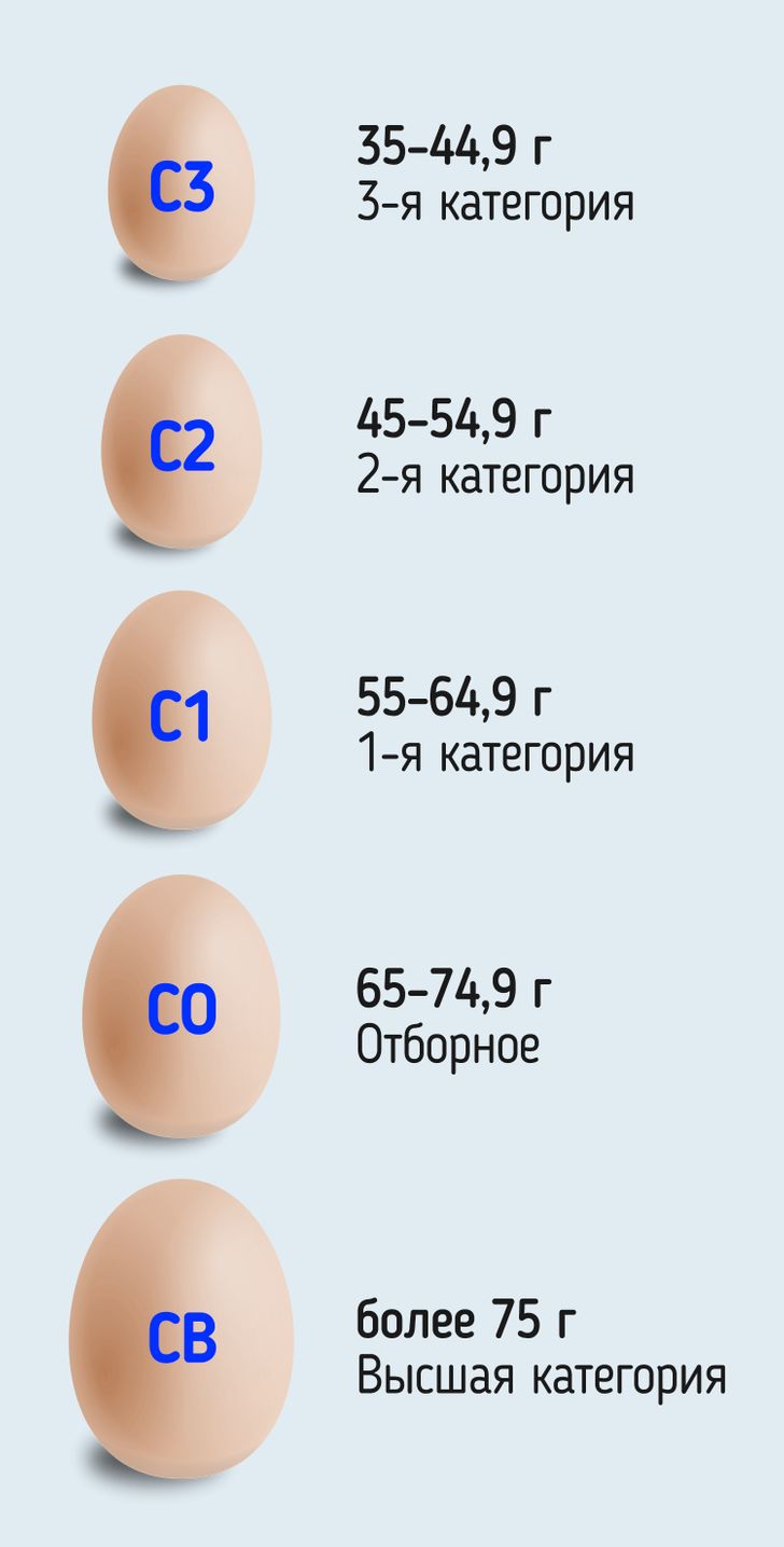 Какие Яйца Лучше С1 Или С0